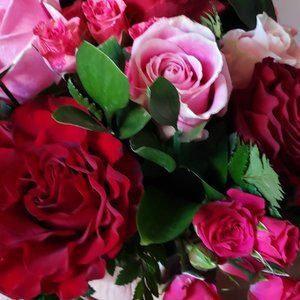 Meet your Posher, Beth anne